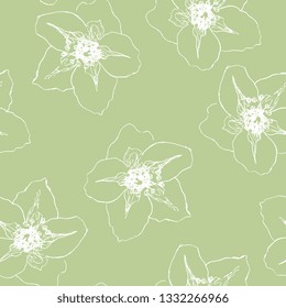 Seamless floral pattern with hand drawn linear sketches of hellebore flowers. White silhouettes on black background.