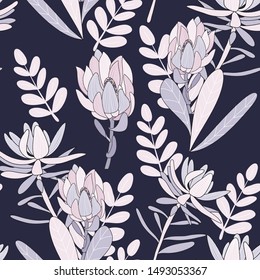 Seamless Floral Pattern Of Hand Drawn Leucadendron,australia Native Plant