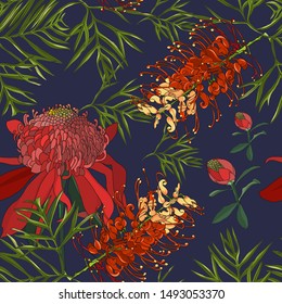 seamless floral pattern of hand drawn red gravillea banksii flower and waratah ,australia native plant on dark blue background