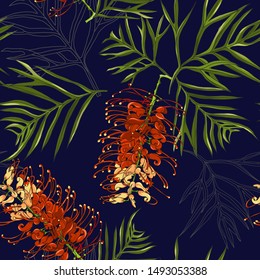 seamless floral pattern of hand drawn red gravillea banksii flower, australia native plant on dark blue background