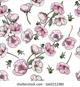 Seamless floral pattern with hand- drawn garden poppies, lilac, monochrome and pink. Papaver somniferum L. Infinite texture for your design, romantic greeting cards, advertising, fabrics