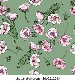 Seamless floral pattern with hand- drawn garden poppies, lilac, monochrome and pink. Papaver somniferum L. Infinite texture for your design, romantic greeting cards, advertising, fabrics