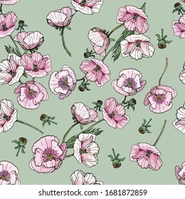 Seamless floral pattern with hand- drawn garden poppies, lilac, monochrome and pink. Papaver somniferum L. Infinite texture for your design, romantic greeting cards, advertising, fabrics