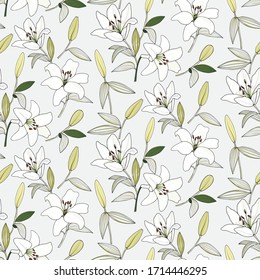 seamless floral pattern of hand drawn white lily on white background