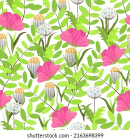 Patrón floral sin soldadura, dibujado a mano, vector. Jardín con flores silvestres y vida verde, patrón de verano, fondo blanco.