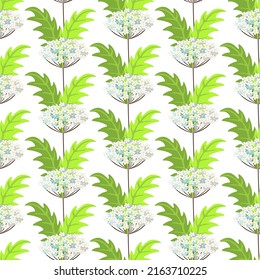 Patrón floral sin soldadura, dibujado a mano, vector. Patrón de verano, flores silvestres y vidas verdes, fondo blanco.