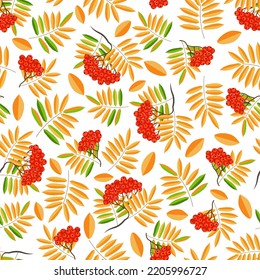 Nahtlose Blumenmuster, handgezeichnet, Vektorgrafik. Rotbraun, Herbstmuster, bunte Herbstblätter, weißer Hintergrund.