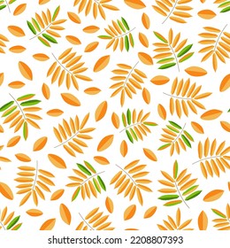 Seamless floral pattern, hand drawn, vector. Autumn pattern, autumn leaves, white background.