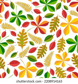 Seamless floral pattern, hand drawn, vector. Different colourful autumn leaves, white background.