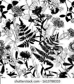 Seamless floral pattern. Herbarium wildflowers, cornflowers, herbs flowers and leaves. Textile composition, hand drawn style print. Vector illustration.