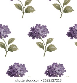 Seamless floral pattern with hydrangea on white background. 
