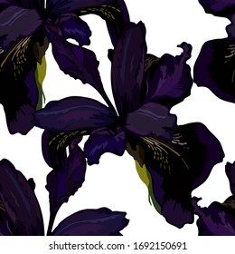 Seamless floral pattern with irises flowers.Abstract  background vector texture.