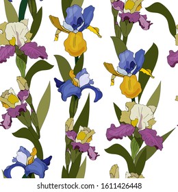 Seamless floral pattern of irises on a white background.