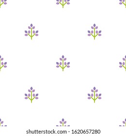 Seamless floral pattern with lavender flowers. Floral texture on white background. Hand drawn shabby sprigs with sharp leaflets. For printing on fabric or paper. Vector illustration