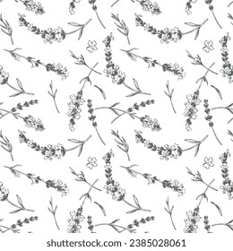 Seamless floral pattern with lavender. Vector in engraving style. Botanical background, French aromatic herb, repeating print. Blooming herbs texture design with Provence lavender blossom.