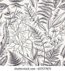 Seamless floral pattern with leaves and ferns. Vintage floral background. Botanical vector illustration. Engraving. Black and white.