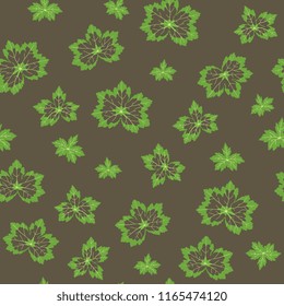 Seamless floral pattern with leaves of geranium or pelargonium plant.