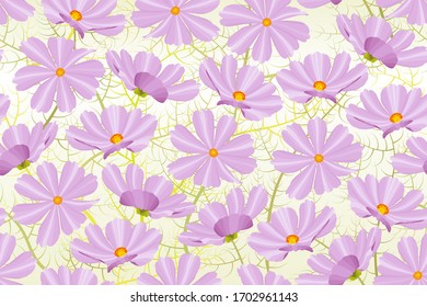 Seamless floral pattern with light purple cosmea flowers, floral background with pink asters, repeating pattern with cosmos flowers