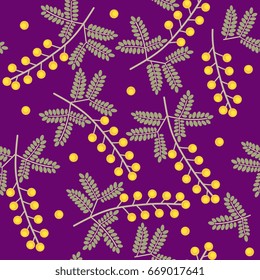 Seamless floral pattern with mimosa clusters. On a purple background.
