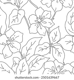 Seamless floral pattern, minimalist sketch style flower print, abstract line art ornament. Simple botanical design: hand drawn lily flowers, leaves. Black and white, two colors vector illustration.
