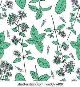 Seamless floral pattern, Mint branch, peppermint leaves, Blossoming oregano flowers vector doodle sketch hand drawn healing herb isolated on white background, design herb for cosmetic, menu, wallpaper