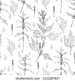 Seamless floral pattern Motherwort flower hand drawn vector isolated on white background, herbal medical sedative plant, Organic food ingredient illustration for healthy market, pharmacology, cosmetic