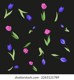 Seamless floral pattern with multi-colored tulip flowers, leaves and petals on a black background. Hand drawn, high realistic, vector,spring flowers for fabric, prints, decoration, invitation cards.