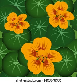Seamless floral pattern with nasturtium on dark green background