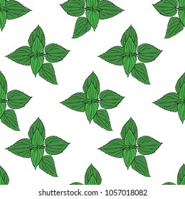 Seamless floral pattern, Nettle wild field flower isolated on white background, hand drawn vector doodle colorful illustration, decor Urtica dioica for design package tea, cosmetic, natural medicine