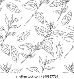 Seamless floral pattern, Nettle wild field flower isolated on white background, hand drawn sketch vector doodle, line art illustration Urtica dioica for design package tea, cosmetics, natural medicine