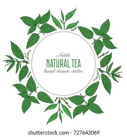 Seamless floral pattern, Nettle wild field flower isolated on white background, hand drawn sketch vector doodle, colorful illustration Urtica dioica for design package tea, cosmetics, natural medicine