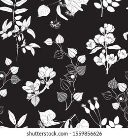 Seamless floral pattern  on a black background. Monochrome nature background. Vector.