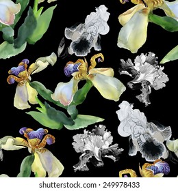 Seamless floral pattern on black background vector illustration