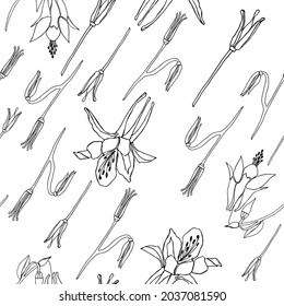Seamless floral pattern on the white background. Modern hand drawn black line Aquilegia (Catchment) flowers. Design for fashion, textile, wallpaper, cover.