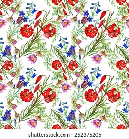 Seamless floral pattern on white background with meadow flowers vector illustration