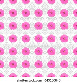 Seamless Floral Pattern on a white background. Vector cosmos flowers seamless pattern.