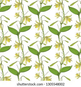 seamless floral pattern with orchid flowers on white background
