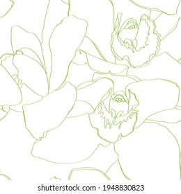 Seamless floral pattern with orchids Cymbidium, green line on white. Hand drawn illustration for fabric, wrapping, prints and other design.