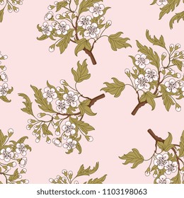 Seamless floral pattern with ornate branches of hawthorn blossom.