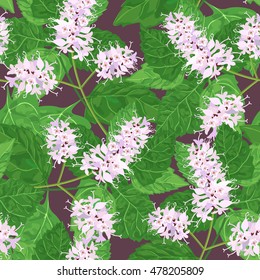 Seamless Floral Pattern With Patchouli Pogostemon Cablini . Vector Illustration.