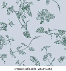 Seamless Floral Pattern With Peppermint Sprigs. Fresh Subtle Nature Colors 