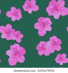 Seamless floral pattern with pink blossom on green background. Azalea or rhododendron flowers. 