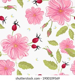Seamless floral pattern with pink Dog roses and fruits on white
