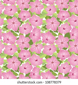seamless floral pattern with pink flowers petunia on lilac background