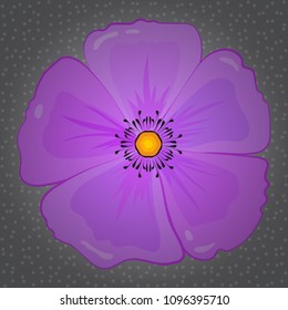 Seamless floral pattern in pink, gray and violet colors with motley cosmos flowers. Vector illustration.