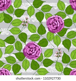Seamless floral pattern with pink pions, hand drawn illustration