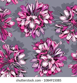 Seamless floral pattern. Pink Rhododendron flowers on a gray background. Vector illustration.