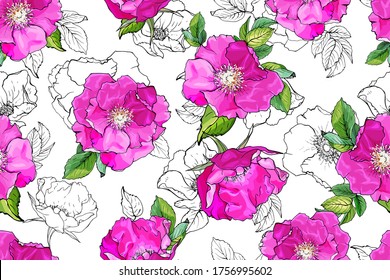 Seamless floral pattern with pink wild roses, green leaves on white background. Hand drawn. For the design textiles, clothing, prints, wrapping paper, wallpaper. Vector stock illustration.