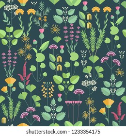 Seamless floral pattern with plants and flowers. Botany, nature, leaves. Dark background isolated. Vector illustrations in flat design style.
