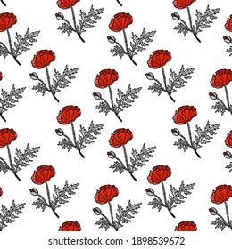 Seamless floral pattern with poppy sprigs. Vector illustration.
